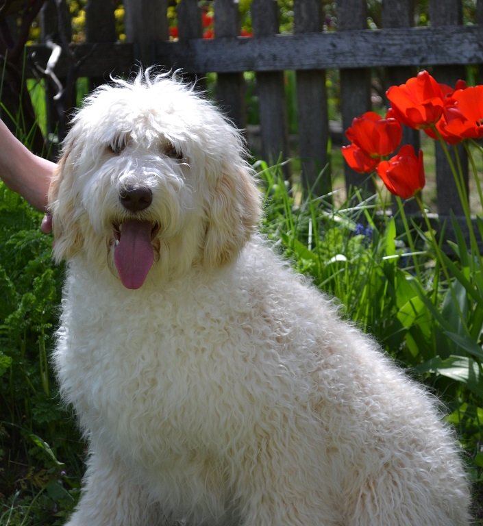 Baxter